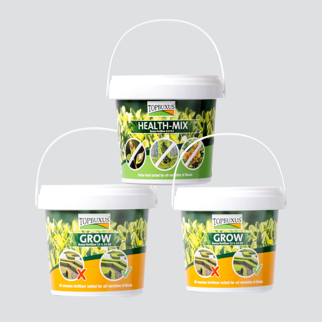 VIP Small Bundle