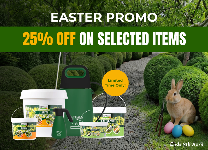 The Secret to Healthier, Greener Buxus