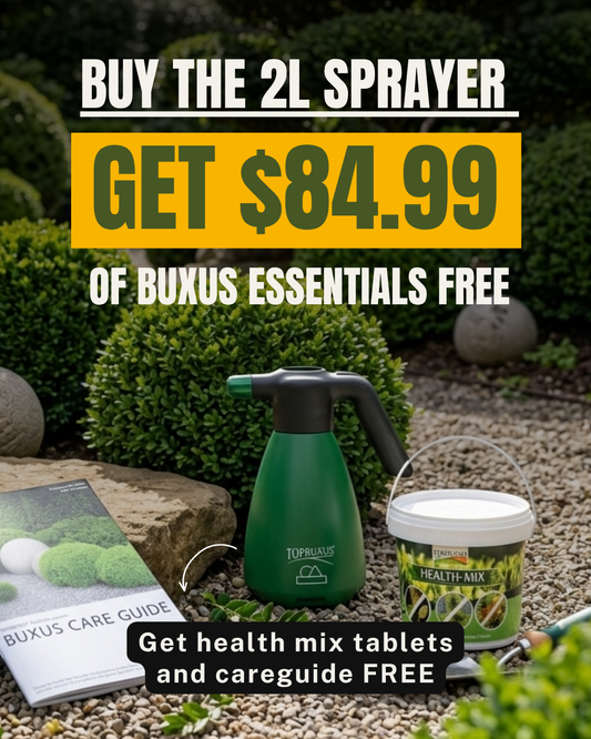 2L Essential Care Bundle (Limited Time)