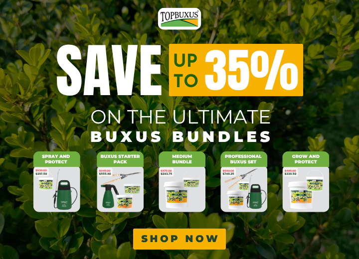 The Secret to Healthier, Greener Buxus