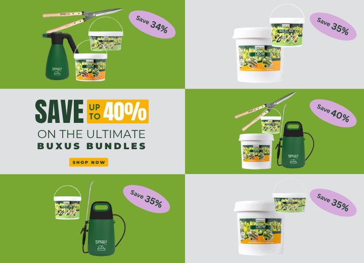 The Secret to Healthier, Greener Buxus