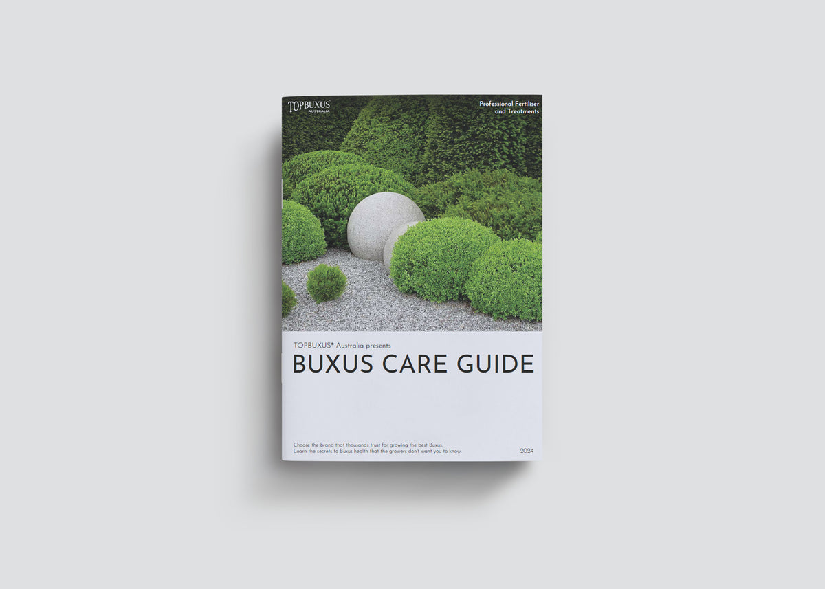Beginners Guide E-Book