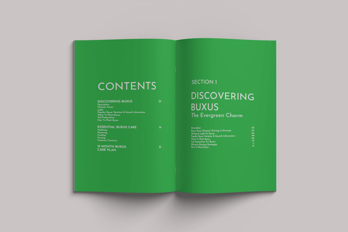 Beginners Guide E-Book