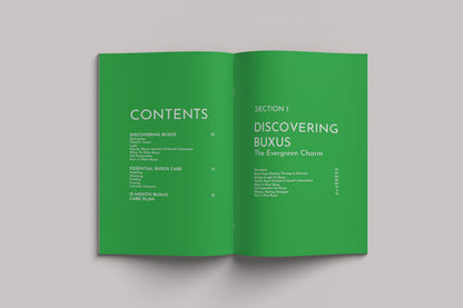 Beginners Guide E-Book
