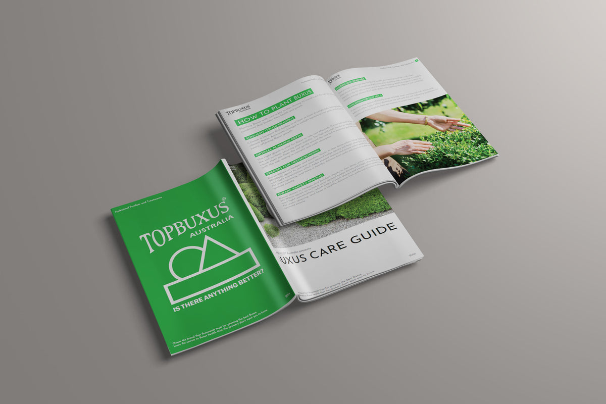 Beginners Guide E-Book