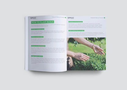 Beginners Guide E-Book