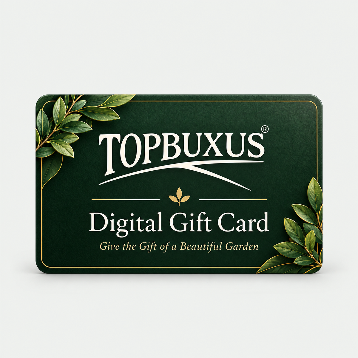 Topbuxus Digital Gift Card