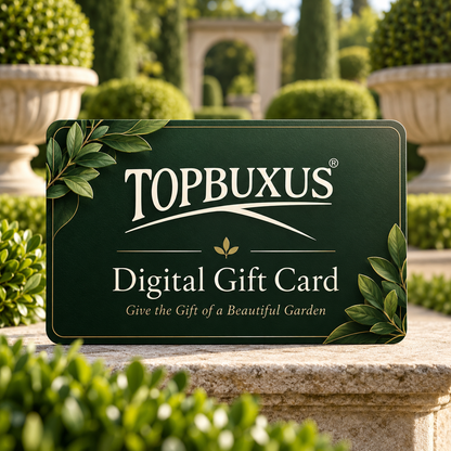 Topbuxus Digital Gift Card