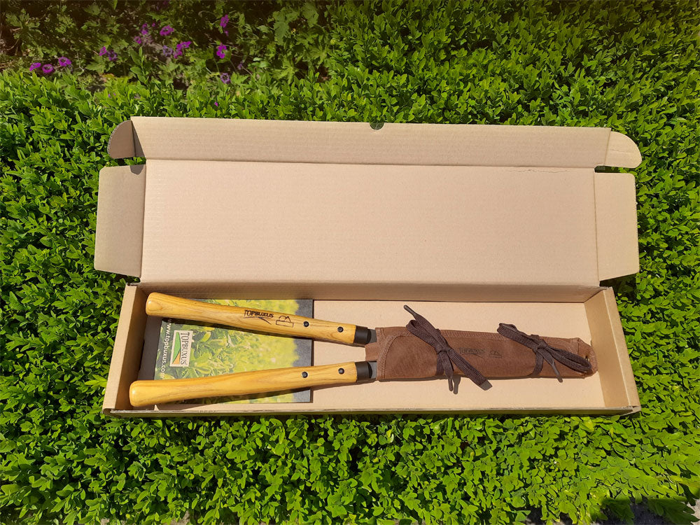 Topbuxus Shears