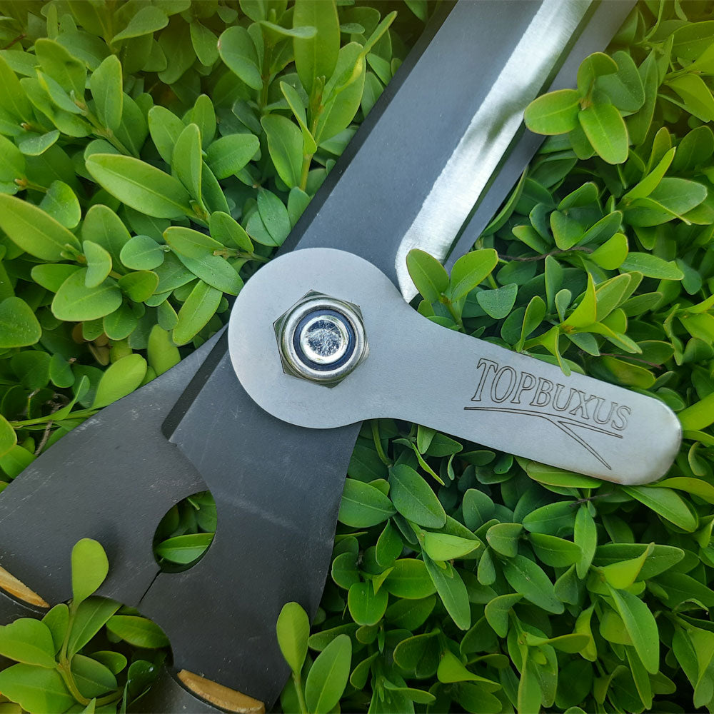 Topbuxus Shears