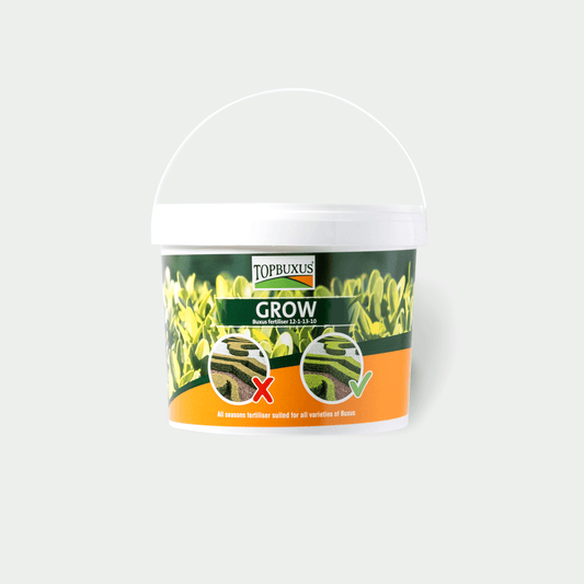 TOPBUXUS GROW 5KG