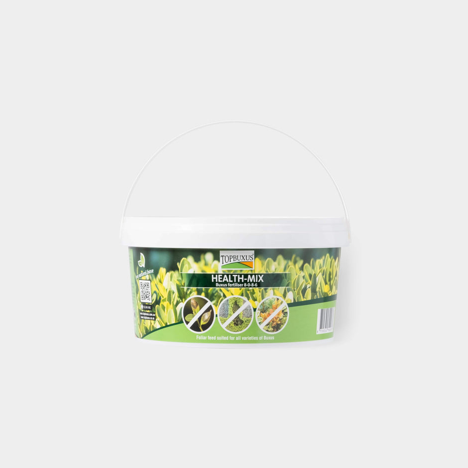 Best Buxus Fertiliser Australia English Box TOPBUXUS topbuxus au