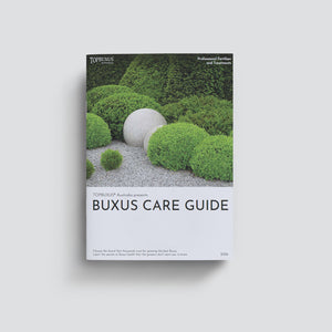 Your Beginners Care Guide