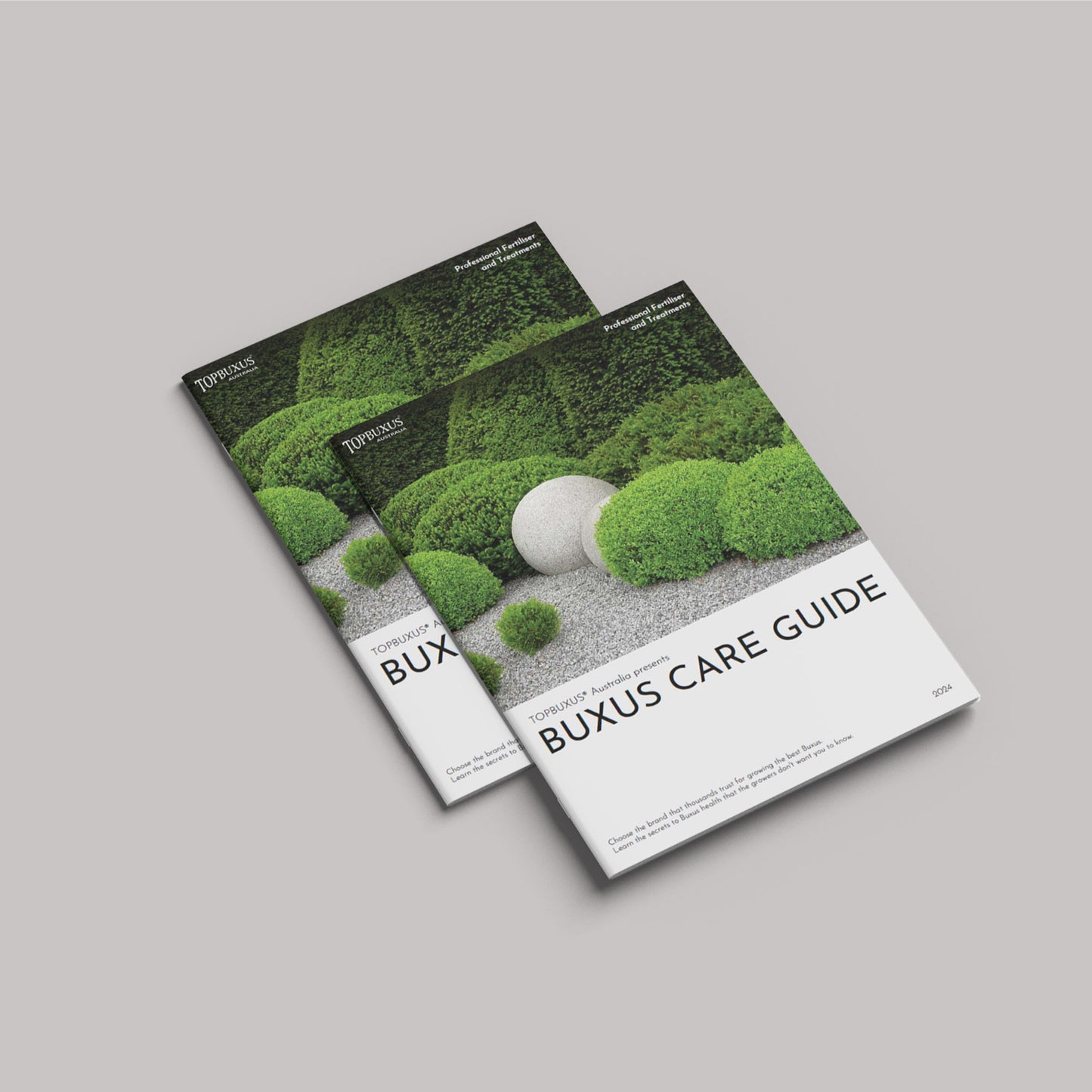 Your Beginners Care Guide