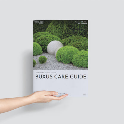 Topbuxus Care Guide