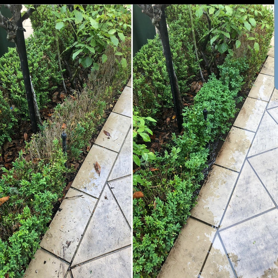 TOPBUXUS® H-M | 10 Applications